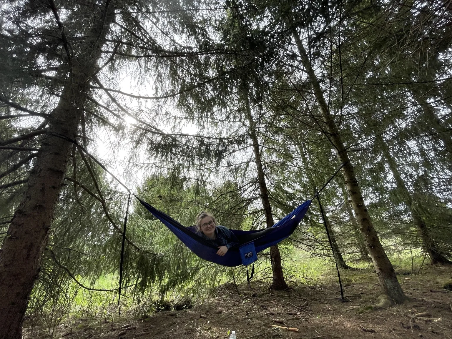 A hammock hanging beneath the trees