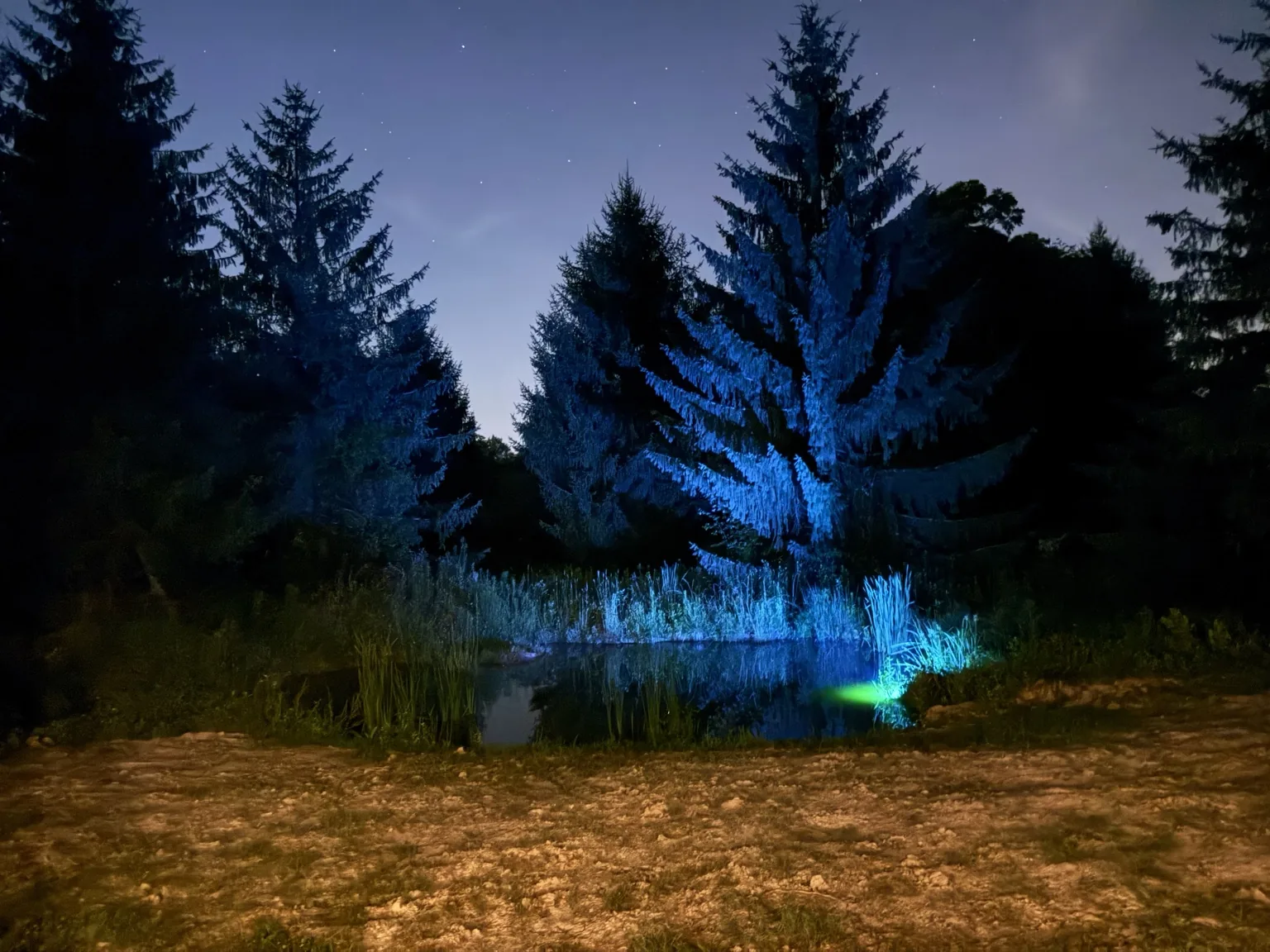 The pond after sunset